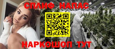крисы Можга