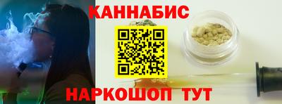 крисы Можга