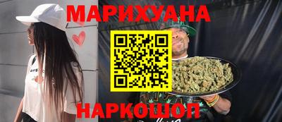 крисы Можга