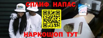 крисы Можга