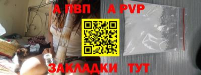 крисы Можга