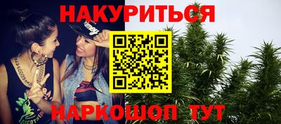 крисы Можга