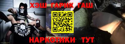 крисы Можга