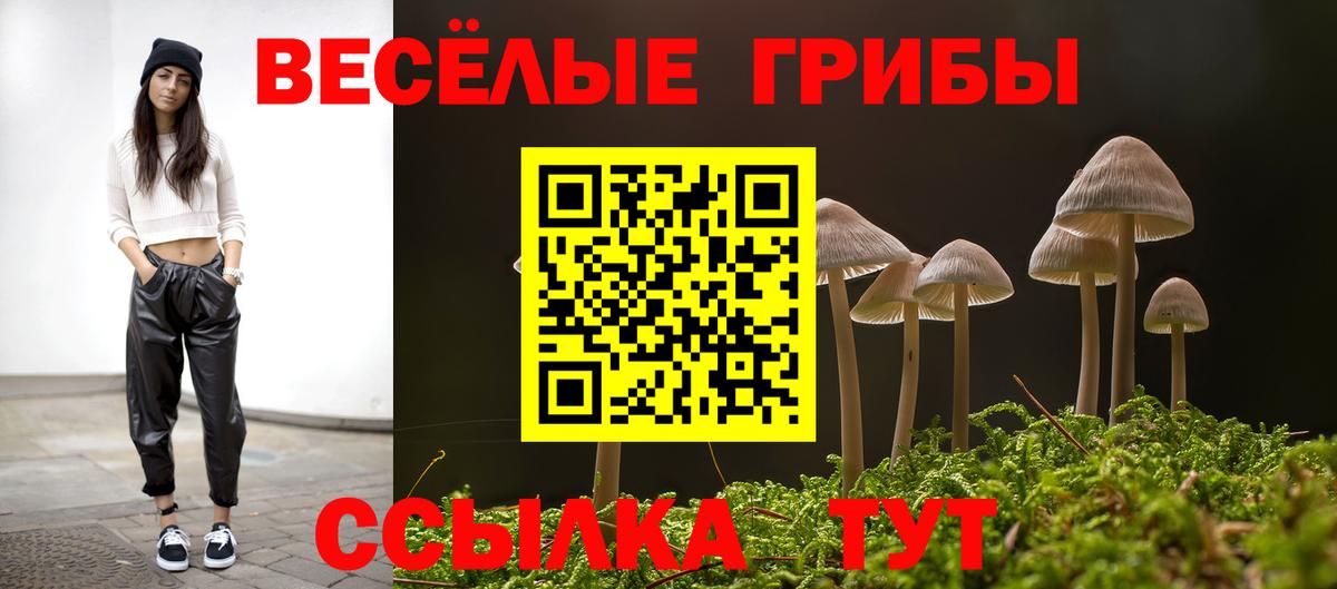 где купить наркоту  Галлюциногенные грибы прущие грибы  Вход с VPN  Севастополь 