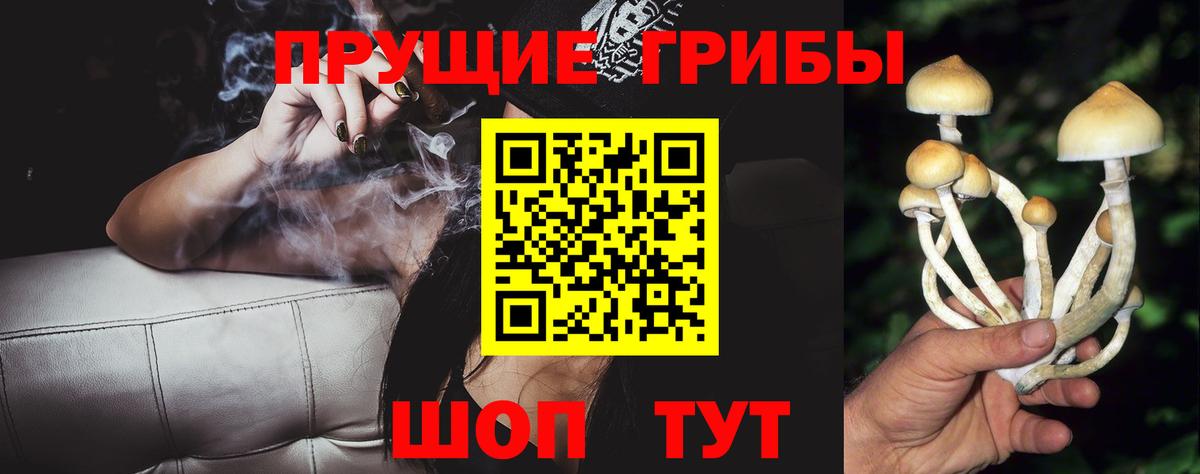 Псилоцибиновые грибы Psilocybine cubensis Севастополь